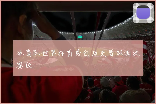 冰岛队世界杯首秀创历史晋级淘汰赛段