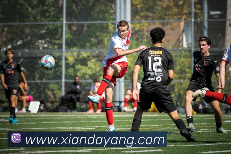 奇异果官网入口APP 高清赛事图